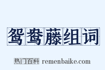 鸳鸯藤组词是什么意思的图片
